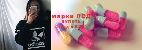 стафф Баксан