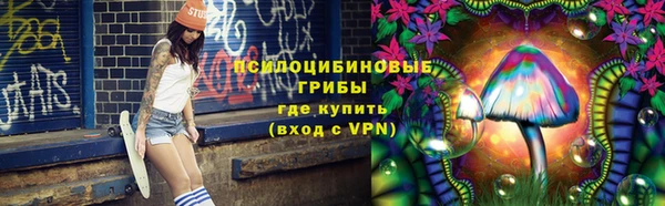стафф Баксан