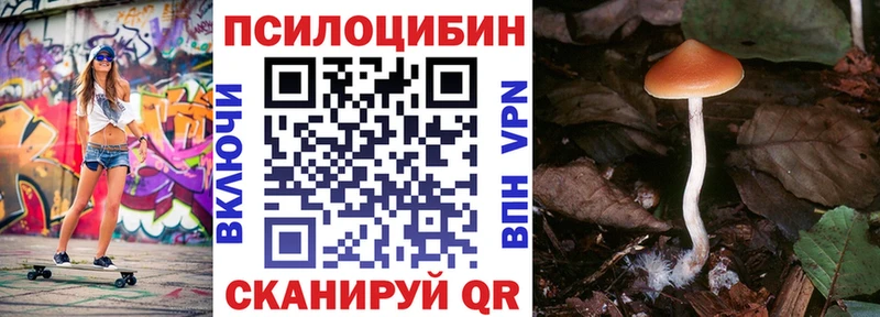 Псилоцибиновые грибы мухоморы  дарнет шоп  Нестеров 